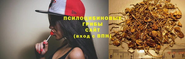 соль курить ск Инта
