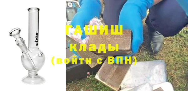 соль ск Инсар