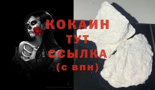 соль ск Инсар