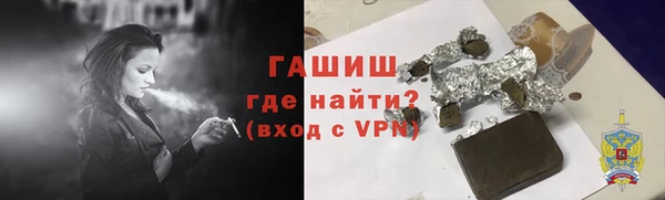 соль ск Инсар