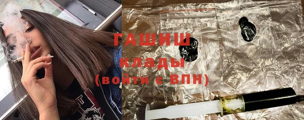 соль ск Инсар