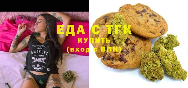 соль ск Инсар