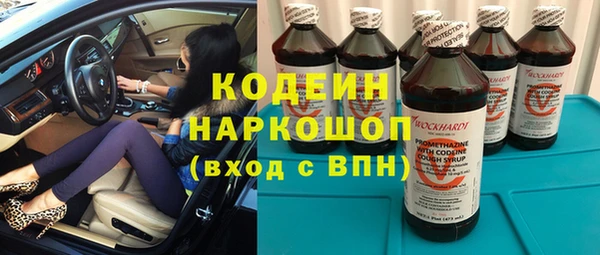 соль ск Инсар