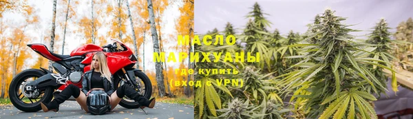 соль ск Инсар