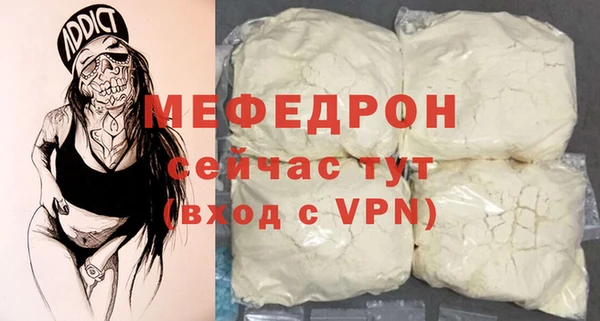 соль ск Инсар