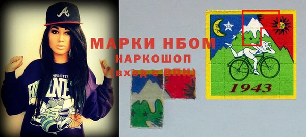 соль ск Инсар